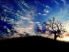 fantasy wallpaper 120
